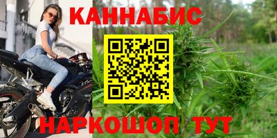 шишки Мирный