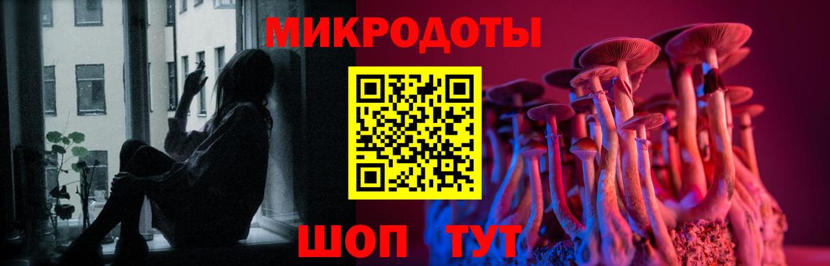 Псилоцибиновые грибы ЛСД Алексеевка