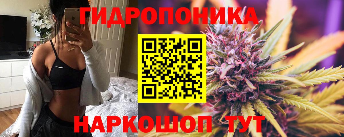 Канабис Bruce Banner  Вход с VPN  Алексеевка  Канабис тримм  Каннабис семена  Шишки марихуана семена 