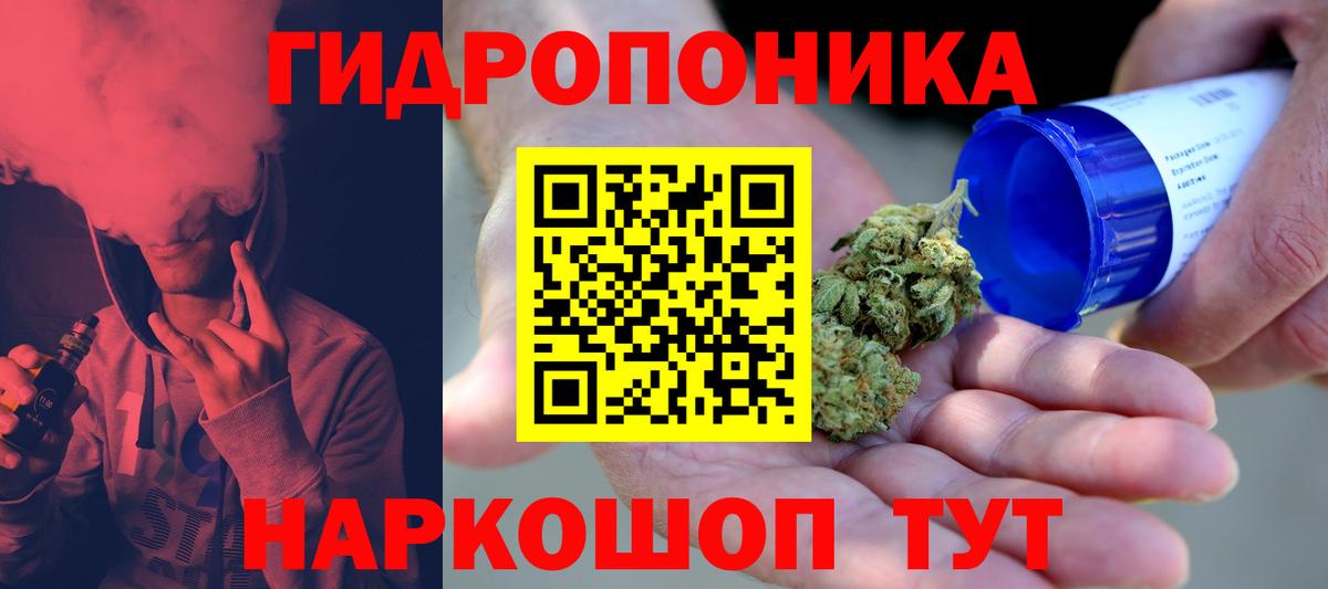 Конопля гибрид Алексеевка